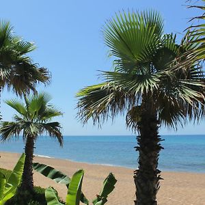 Ionion Beach Apartment Hotel&Spa